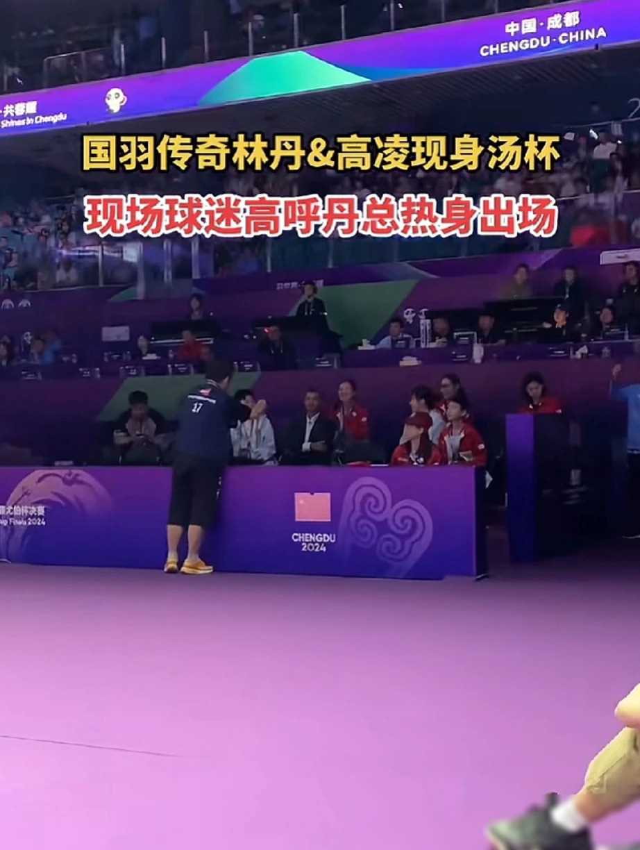 PG电子试玩官网-中国羽毛球队翻盘印尼羽毛球队,陶菲克关键制胜